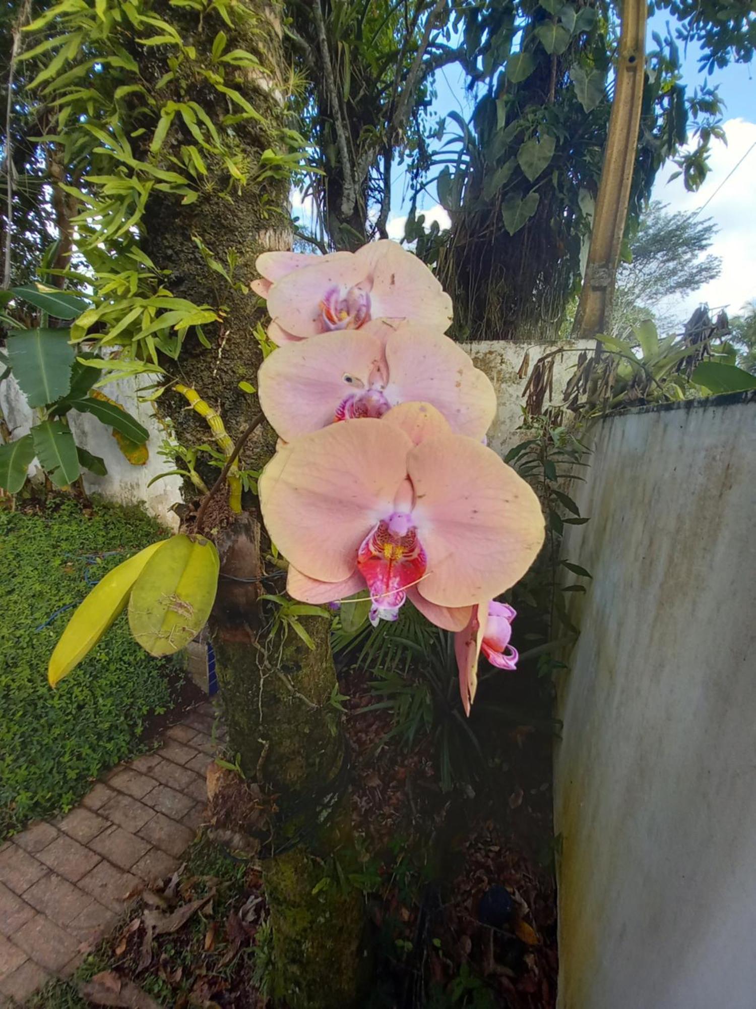 Suite No Condominio Itamambuca - Muito Perto Da Praia !!! Ubatuba Zimmer foto