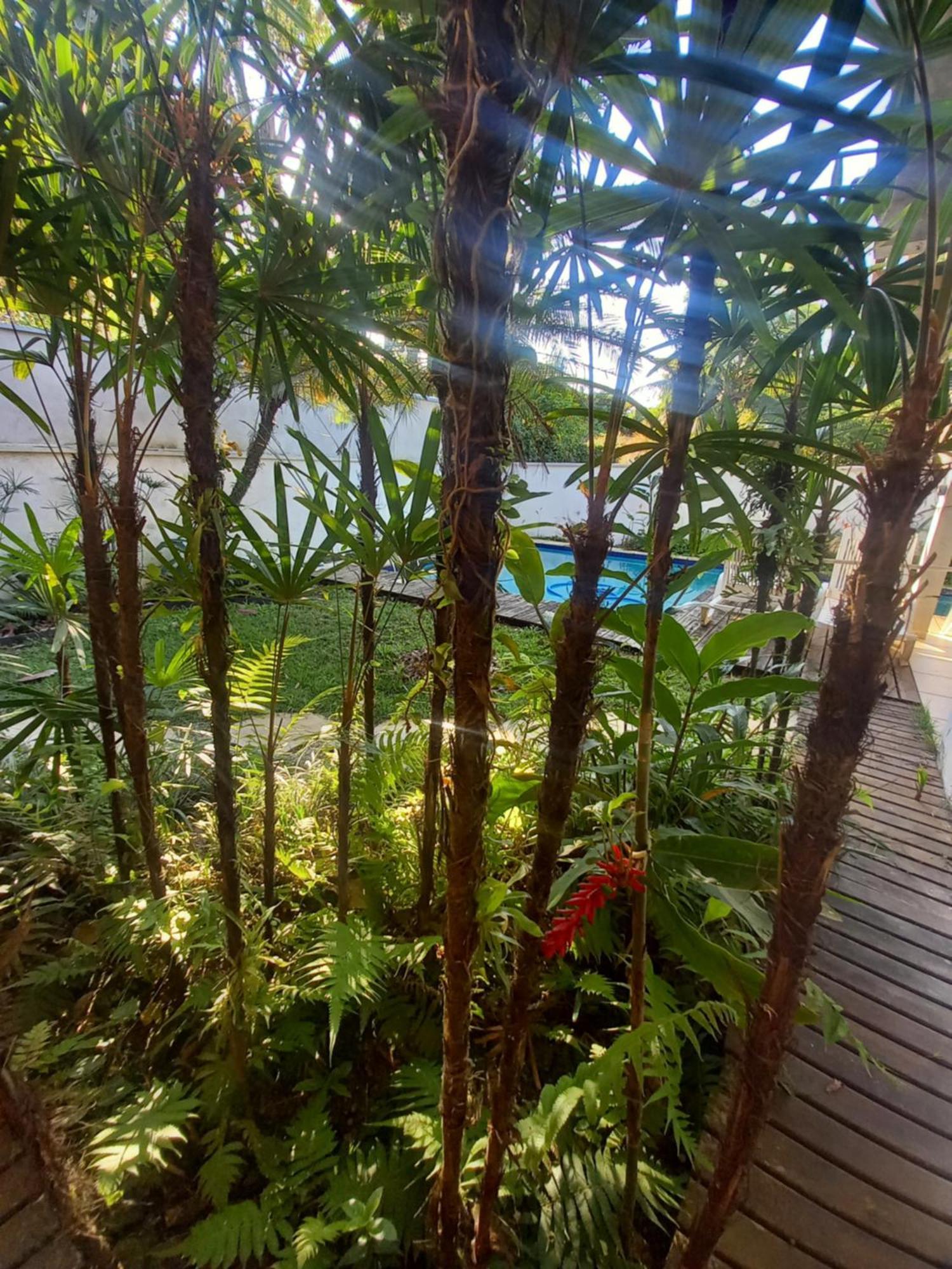 Suite No Condominio Itamambuca - Muito Perto Da Praia !!! Ubatuba Zimmer foto