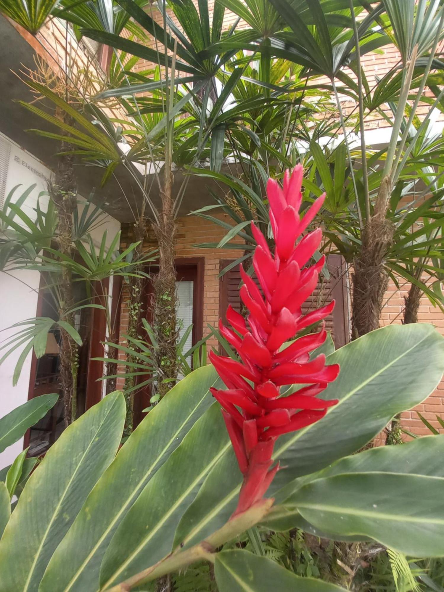 Suite No Condominio Itamambuca - Muito Perto Da Praia !!! Ubatuba Exterior foto